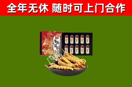 韶关市烟酒回收冬虫夏草礼盒.jpg